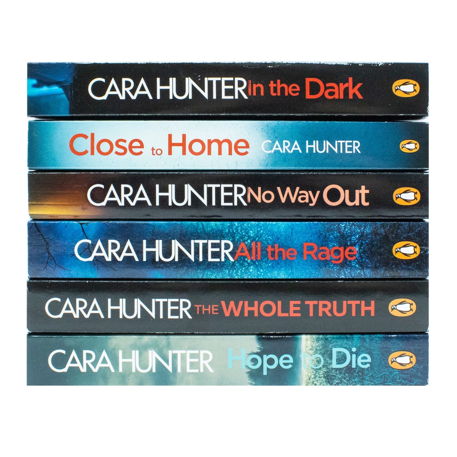 Cara Hunter DI Fawley Series 6 Books Collection Set (All the Rage, In the Dark, Close to Home, No Way Out, The Whole Truth, Hope to Die)