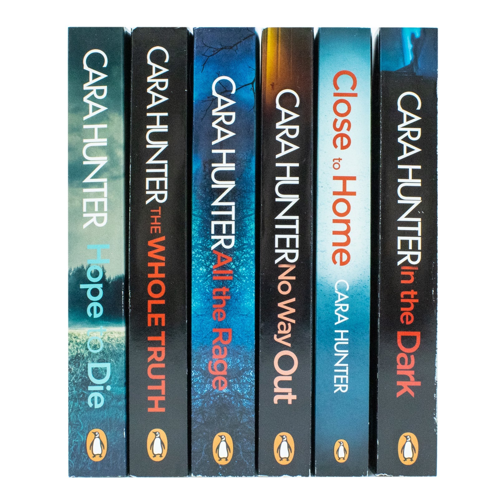 Cara Hunter DI Fawley Series 6 Books Collection Set (All the Rage, In the Dark, Close to Home, No Way Out, The Whole Truth, Hope to Die)