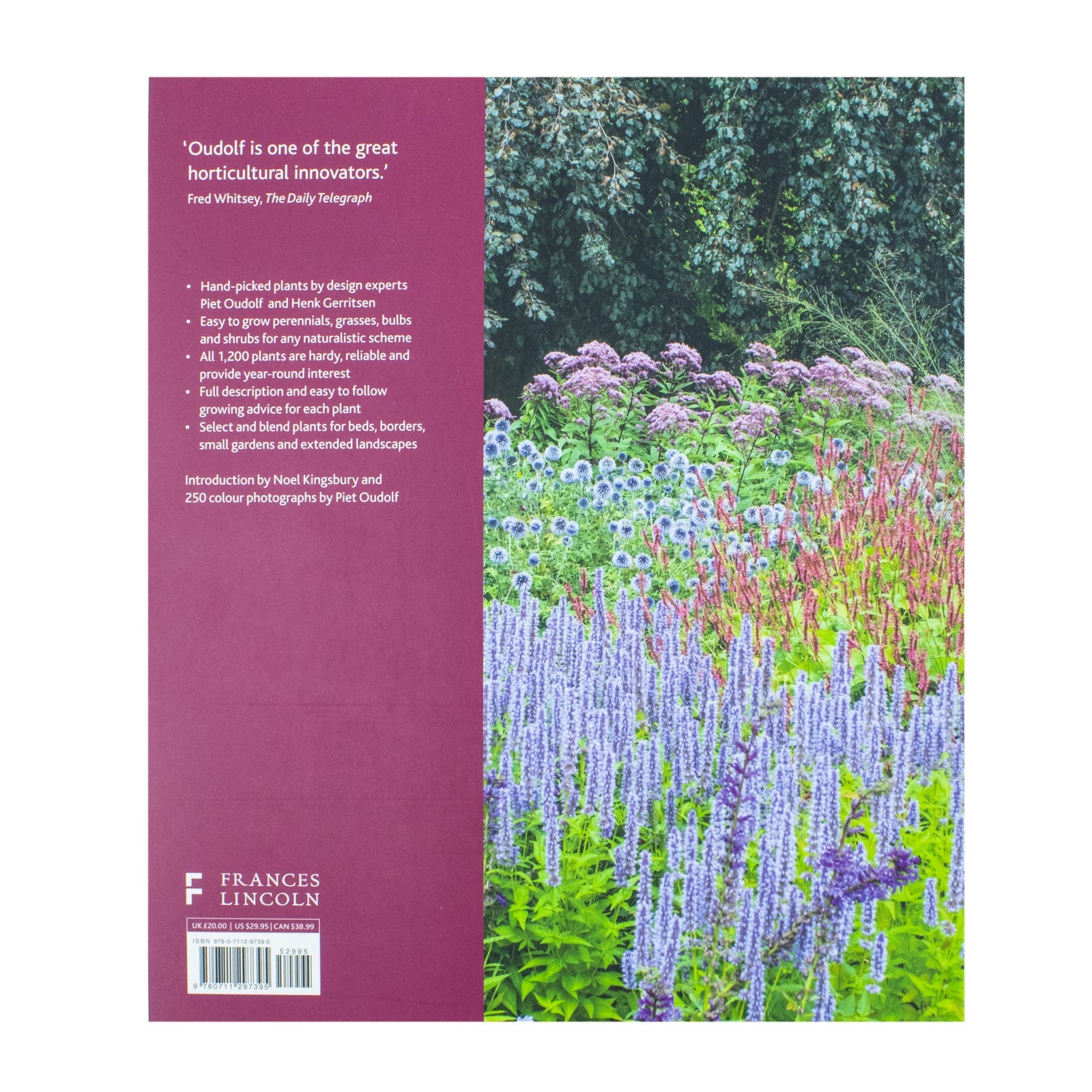 Dream Plants for the Natural Garden By Piet Oudolf & Henk Gerritsen