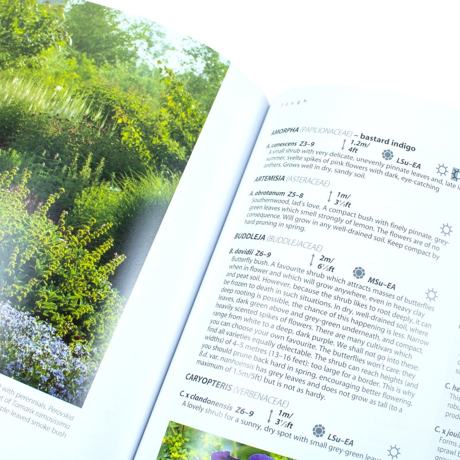 Dream Plants for the Natural Garden Book: Eco-Friendly Gardening, Perennials, Landscape Design & Horticulture – By Piet Oudolf & Henk Gerritsen