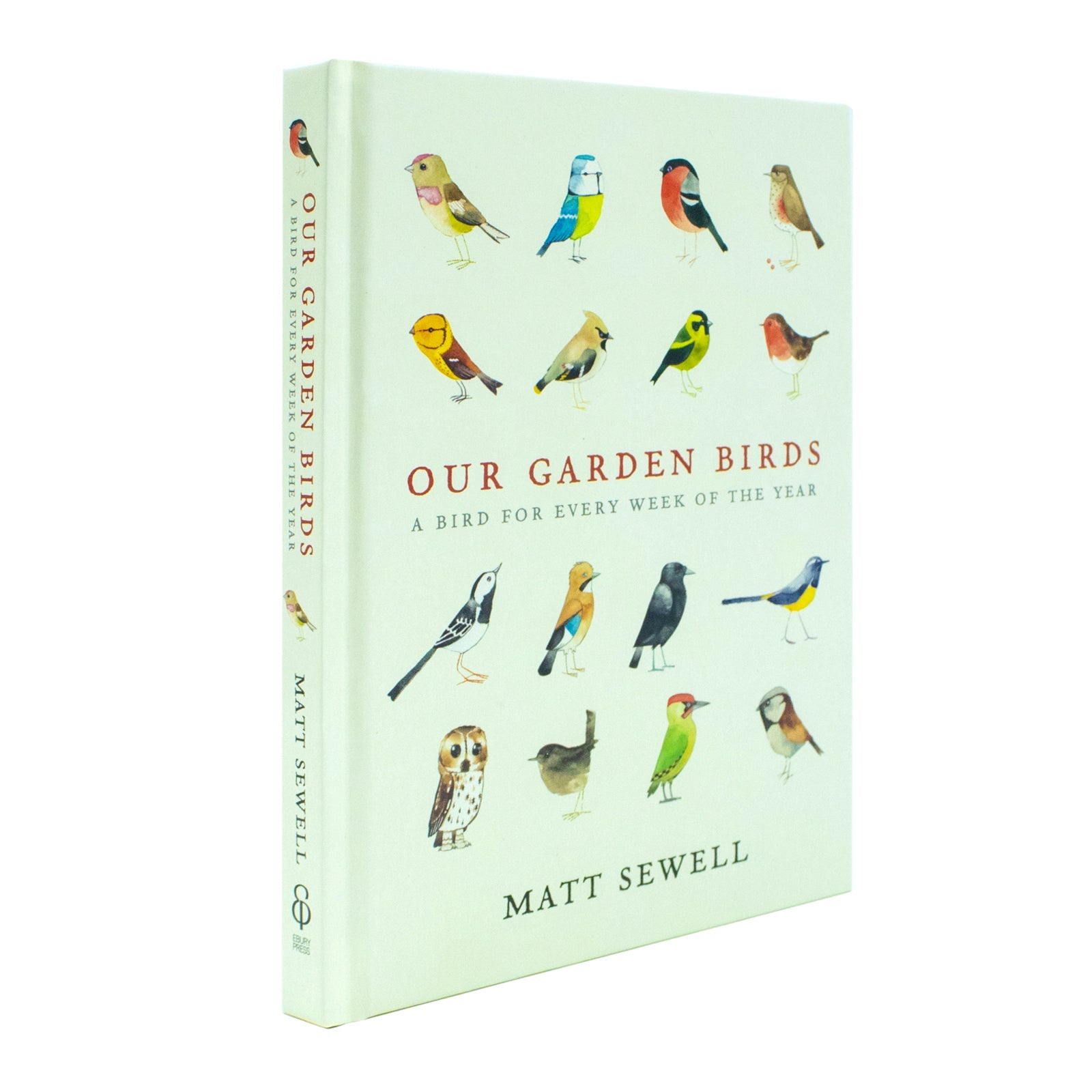 Our Garden Birds: a stunning illustrated guide to the birdlife of the British Isles by Matt Sewell