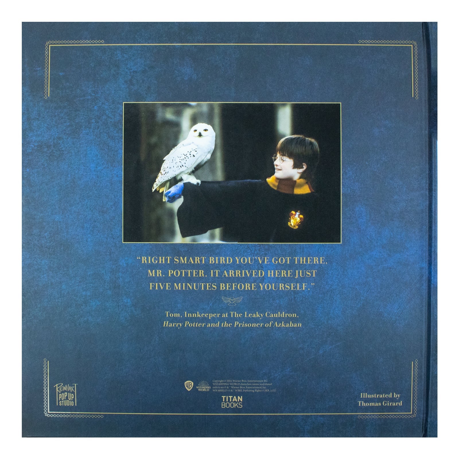 Harry Potter: Hedwig Pop-up Advent Calendar - An Interactive Holiday Gift for Kids Ages 9+ Years Ideal for Christmas Fun and Family ActivitieS