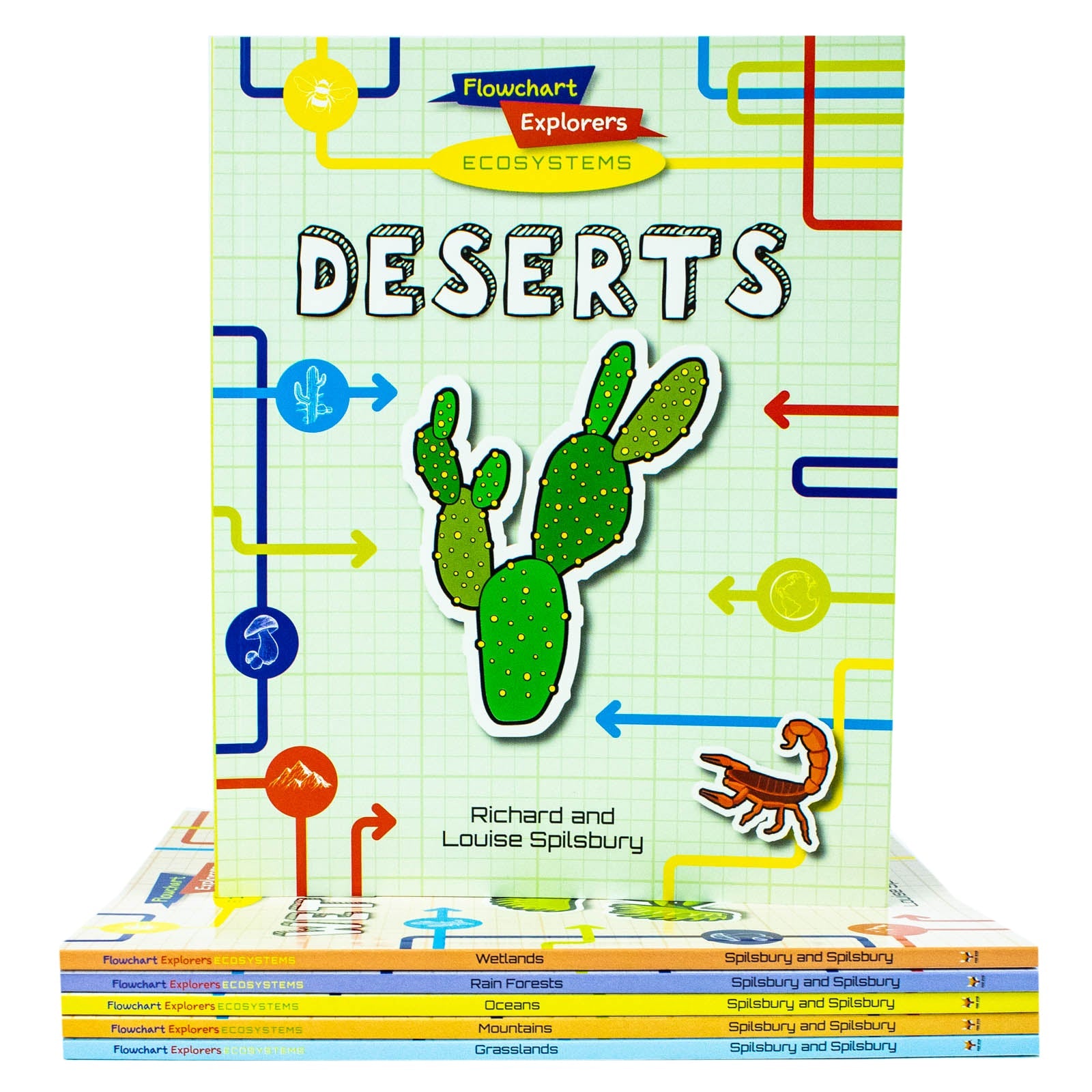 Flowchart Explorers Ecosystems STEM 6 Geography Science Books Set (Deserts, Grasslands, Mountains, Oceans, Rain Forests, Wetlands)