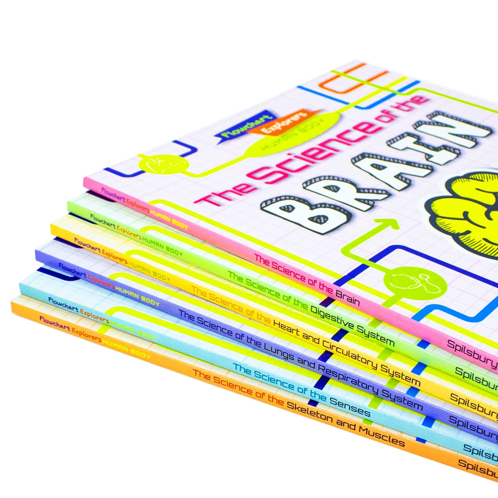 Flowchart Explorers Human Body STEM 6 Science Books Set: (Brain, Digestive, Heart, Lungs, Senses, Skeleton)