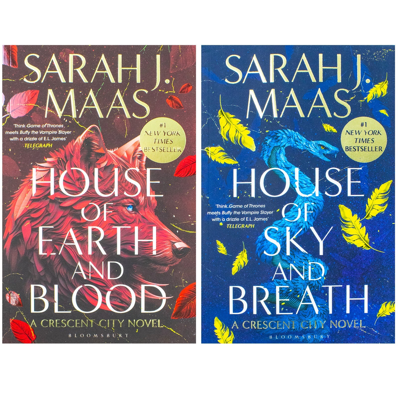 Sarah J Maas Crescent City Series 2 Books Collection Set (House of Sky and Breath, House of Earth and Blood)