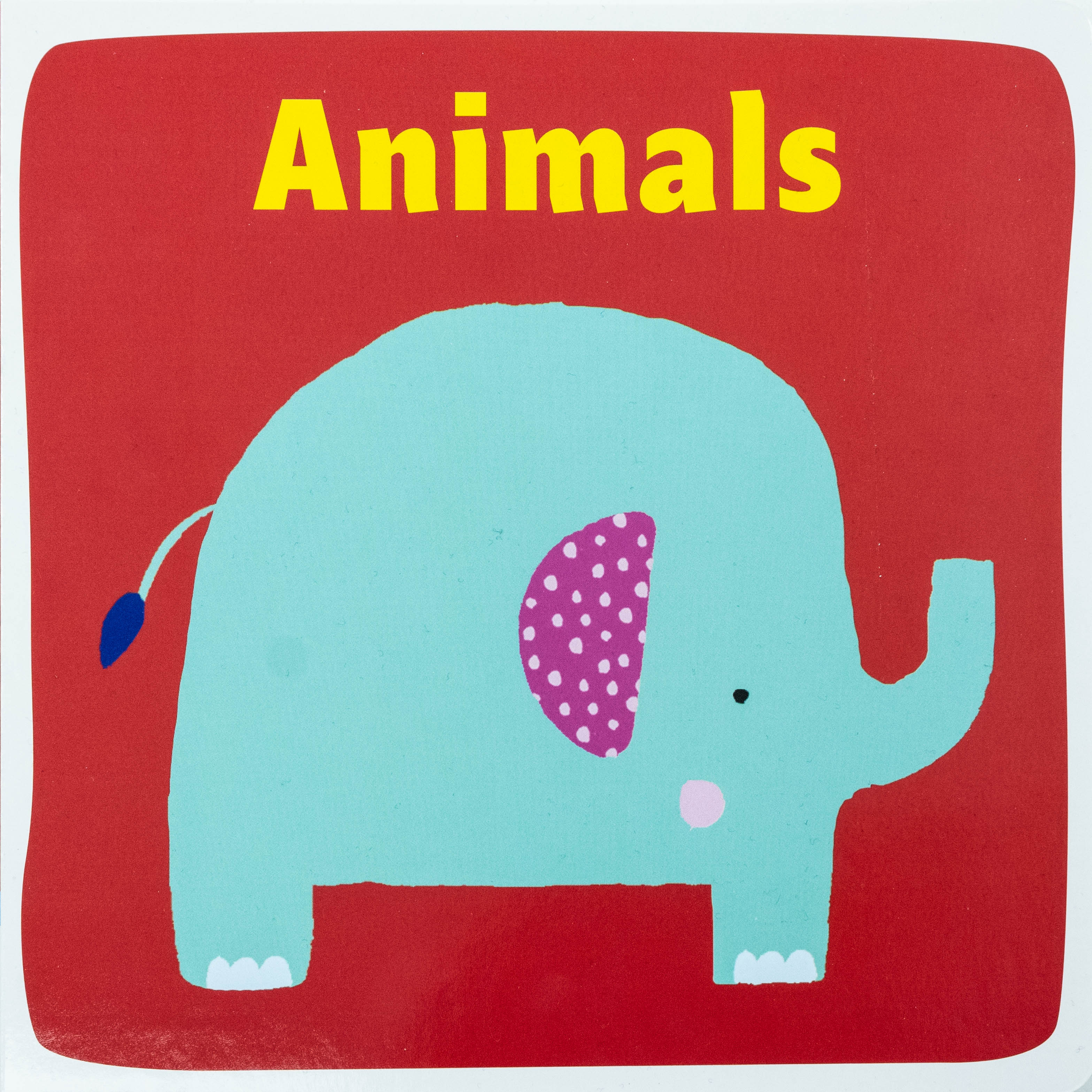 My Early Learning Box (Things That Go, First Words, Colours, Animals)