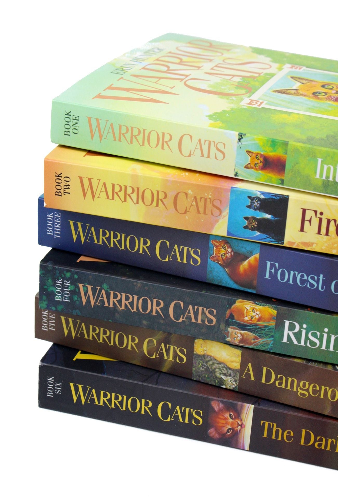 Warrior Cats  Series 1 The Prophecies Begin - 6-Book Collection by Erin Hunter for ages 8+! Perfect for young readers seeking adventure and fantasy!